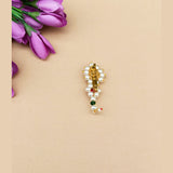 नथ Saree Pin